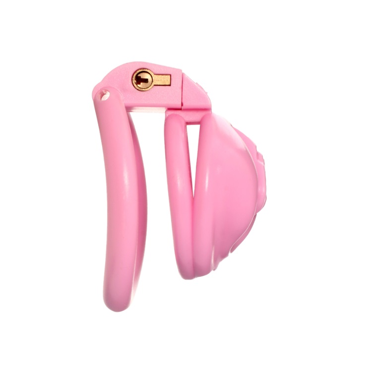 Sissy Pussy Cage - Image 2