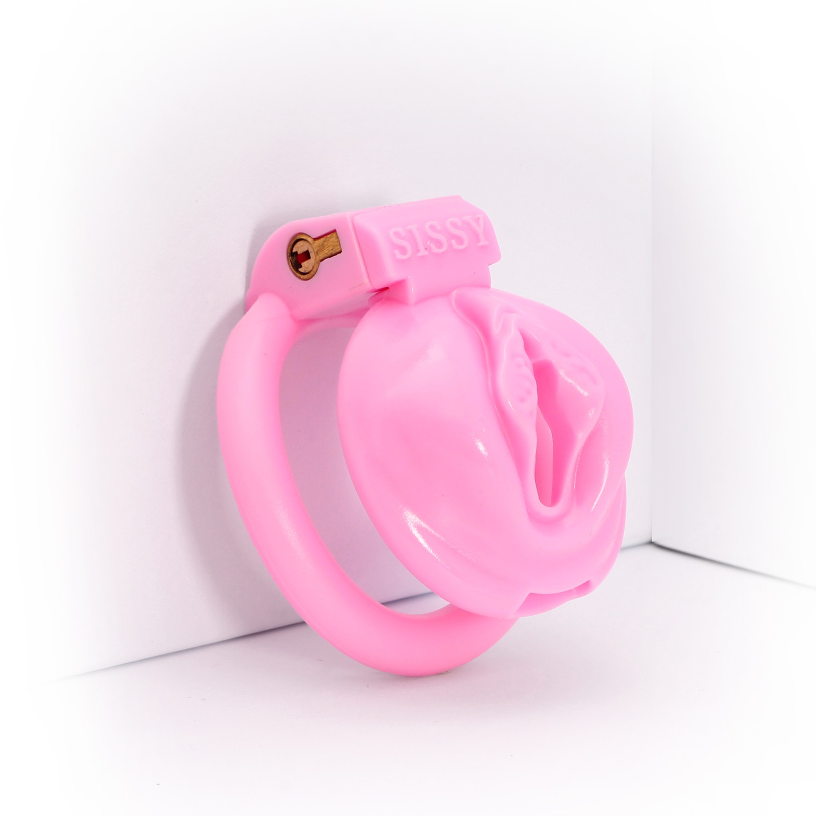 Sissy Pussy Cage - Image 8